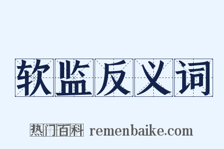 软监反义词是什么意思的图片